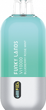 Funky Lands Vi10000 POD-1 "Blueberry Rose Mint / Черника Роза Мята" 20